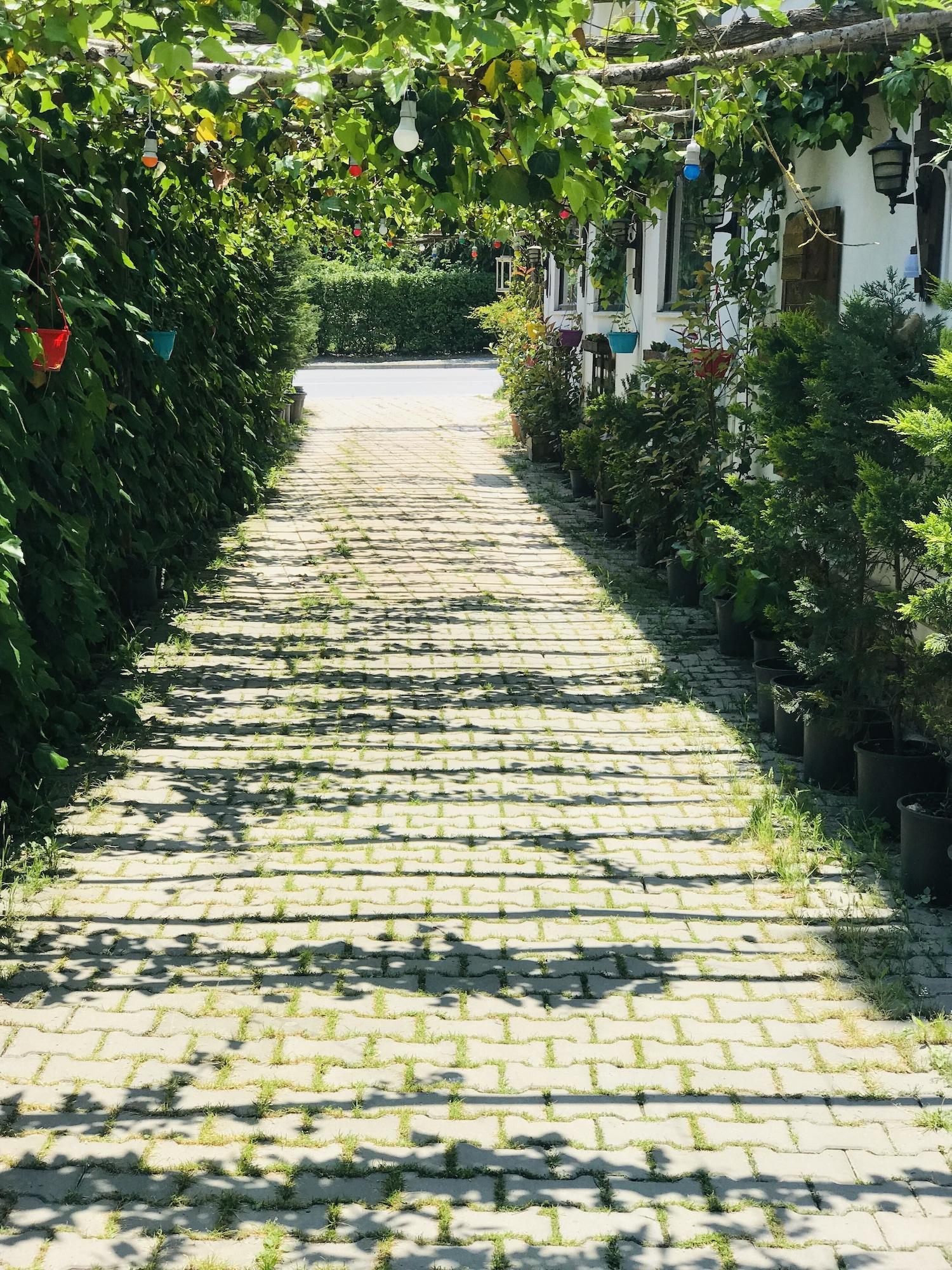 Sahra Butik Hotel Sapanca Bagian luar foto